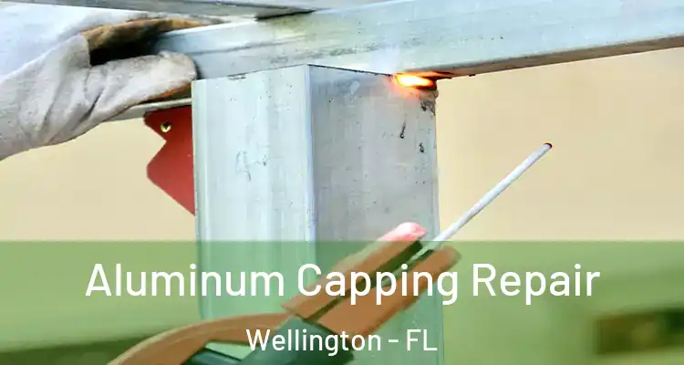  Aluminum Capping Repair Wellington - FL