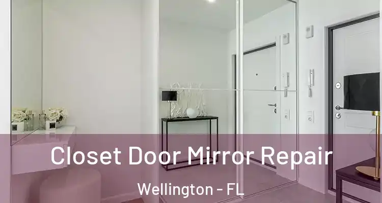  Closet Door Mirror Repair Wellington - FL