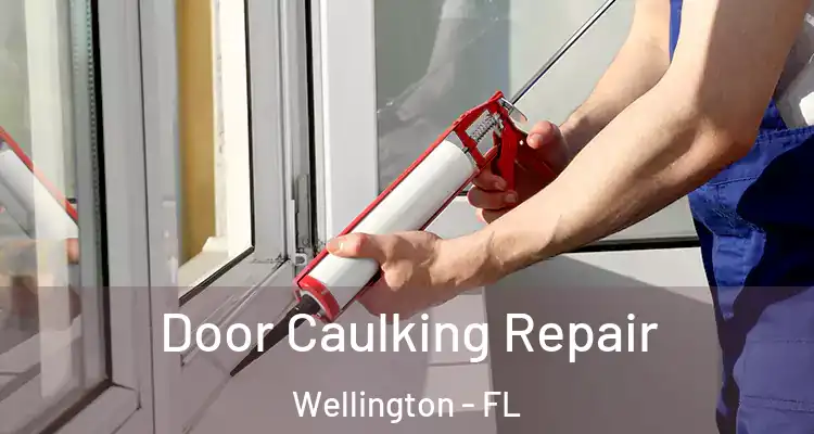  Door Caulking Repair Wellington - FL