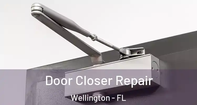  Door Closer Repair Wellington - FL