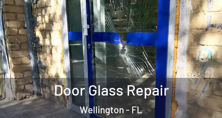  Door Glass Repair Wellington - FL