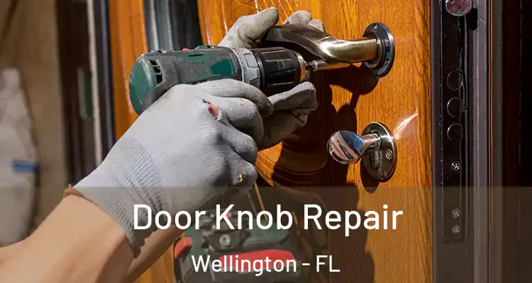  Door Knob Repair Wellington - FL