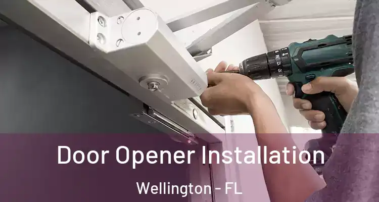  Door Opener Installation Wellington - FL