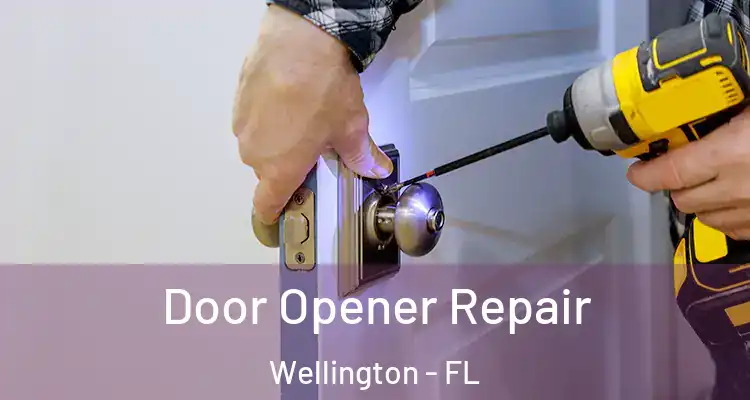  Door Opener Repair Wellington - FL