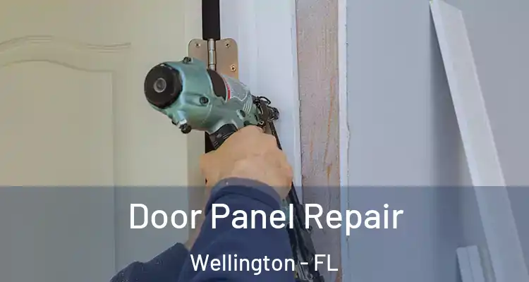  Door Panel Repair Wellington - FL