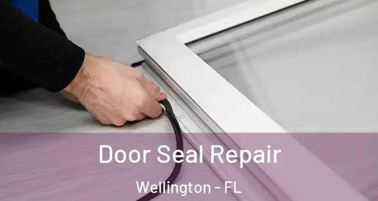  Door Seal Repair Wellington - FL