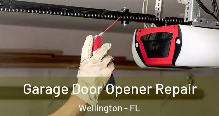  Garage Door Opener Repair Wellington - FL