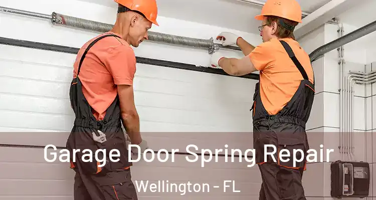  Garage Door Spring Repair Wellington - FL