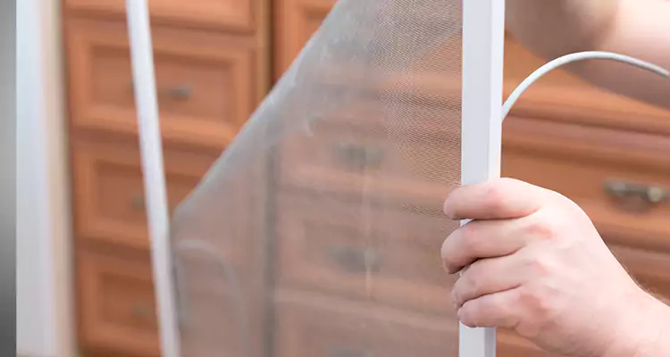 Privacy Mesh Screen Door Installation in Wellington, FL