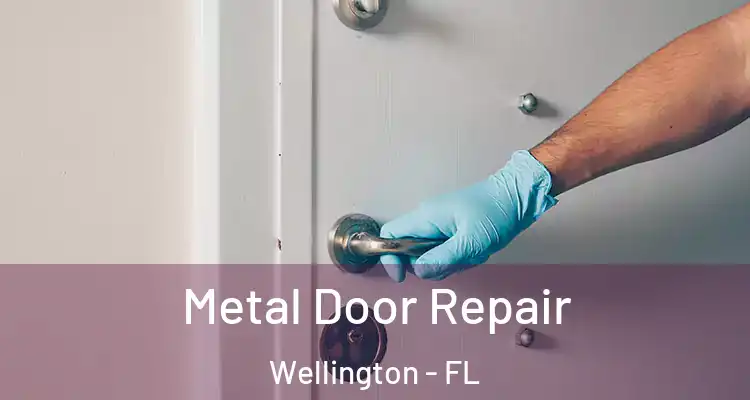  Metal Door Repair Wellington - FL