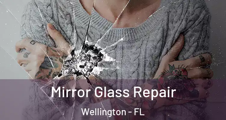  Mirror Glass Repair Wellington - FL