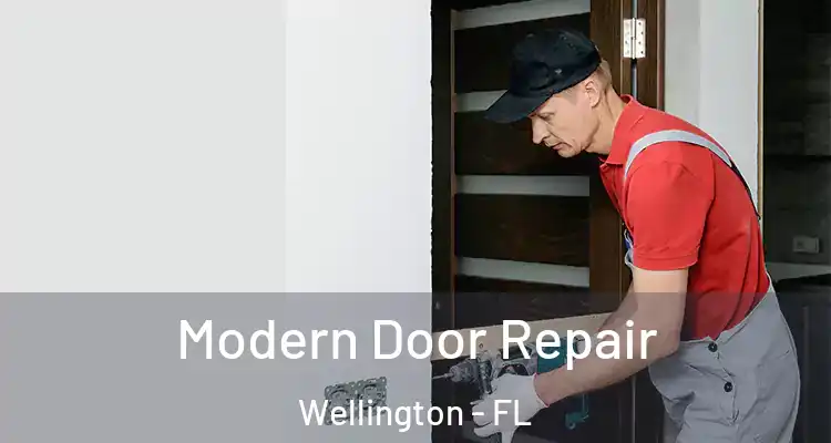  Modern Door Repair Wellington - FL
