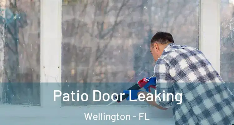  Patio Door Leaking Wellington - FL