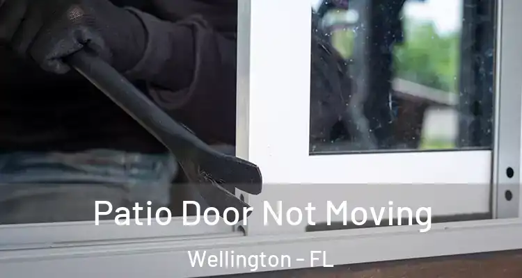  Patio Door Not Moving Wellington - FL