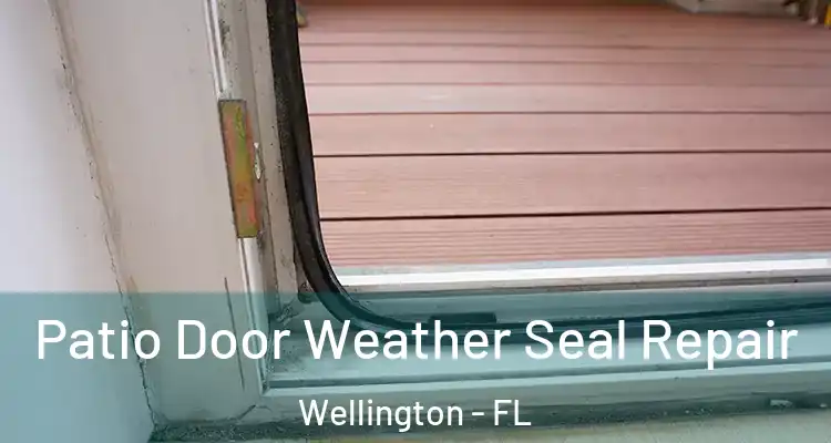  Patio Door Weather Seal Repair Wellington - FL