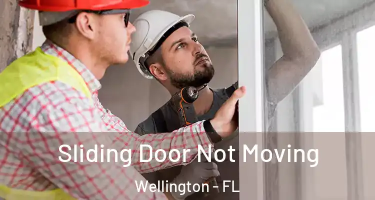  Sliding Door Not Moving Wellington - FL
