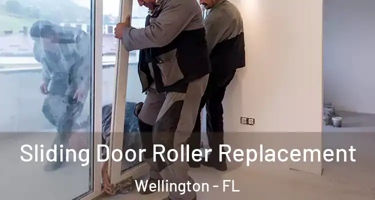  Sliding Door Roller Replacement Wellington - FL