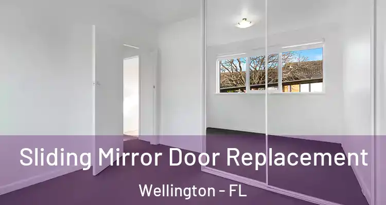  Sliding Mirror Door Replacement Wellington - FL