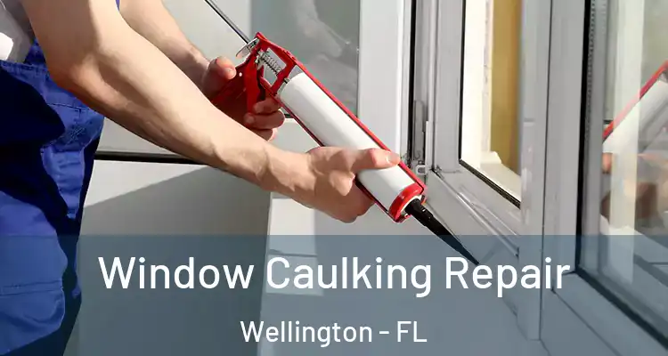  Window Caulking Repair Wellington - FL