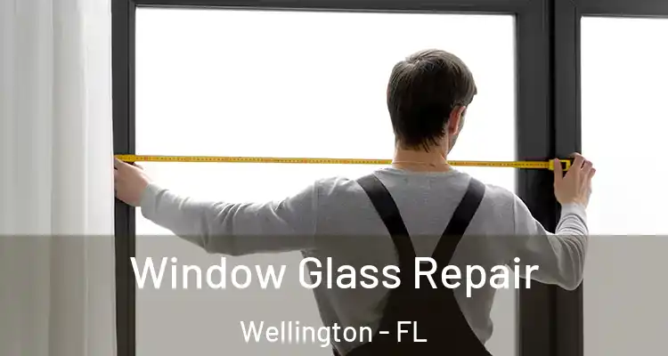  Window Glass Repair Wellington - FL