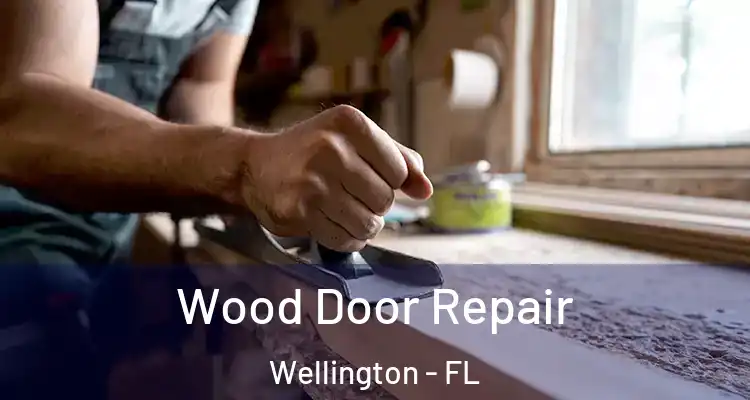  Wood Door Repair Wellington - FL